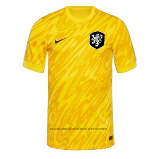 Maillot Pays-bas Gardien Exterieur 2024