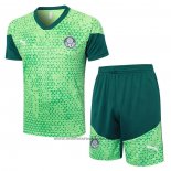 Ensemble Survetement Palmeiras Manche Courte 24-25 Vert - Shorts